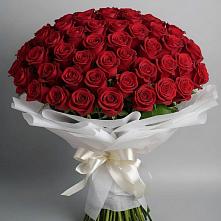 Букет 101 Красная роза Блэк Мэджик в Бояркино