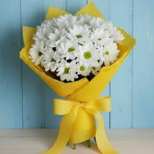Букет цветов из:  Хризантемы в Бояркино