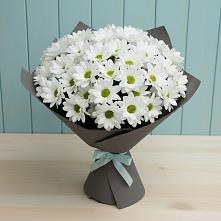 Букет цветов из:  Хризантемы #REPLACE_PRED# Бояркино