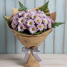 Букет цветов из:  Хризантемы в Бояркино