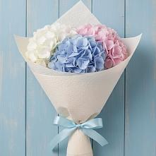 Букет цветов из:  Гортензия в Бояркино