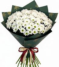 Букет цветов из:  Хризантемы в Бояркино