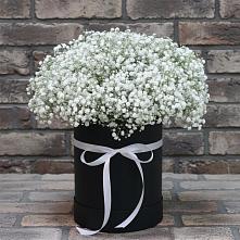 Цветочная композиция из Гипсофила в шляпной коробке в Бояркино