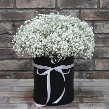 Цветочная композиция из Гипсофила в шляпной коробке в Бояркино
