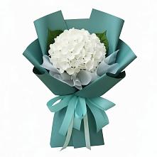 Букет цветов из:  Гортензия в Бояркино
